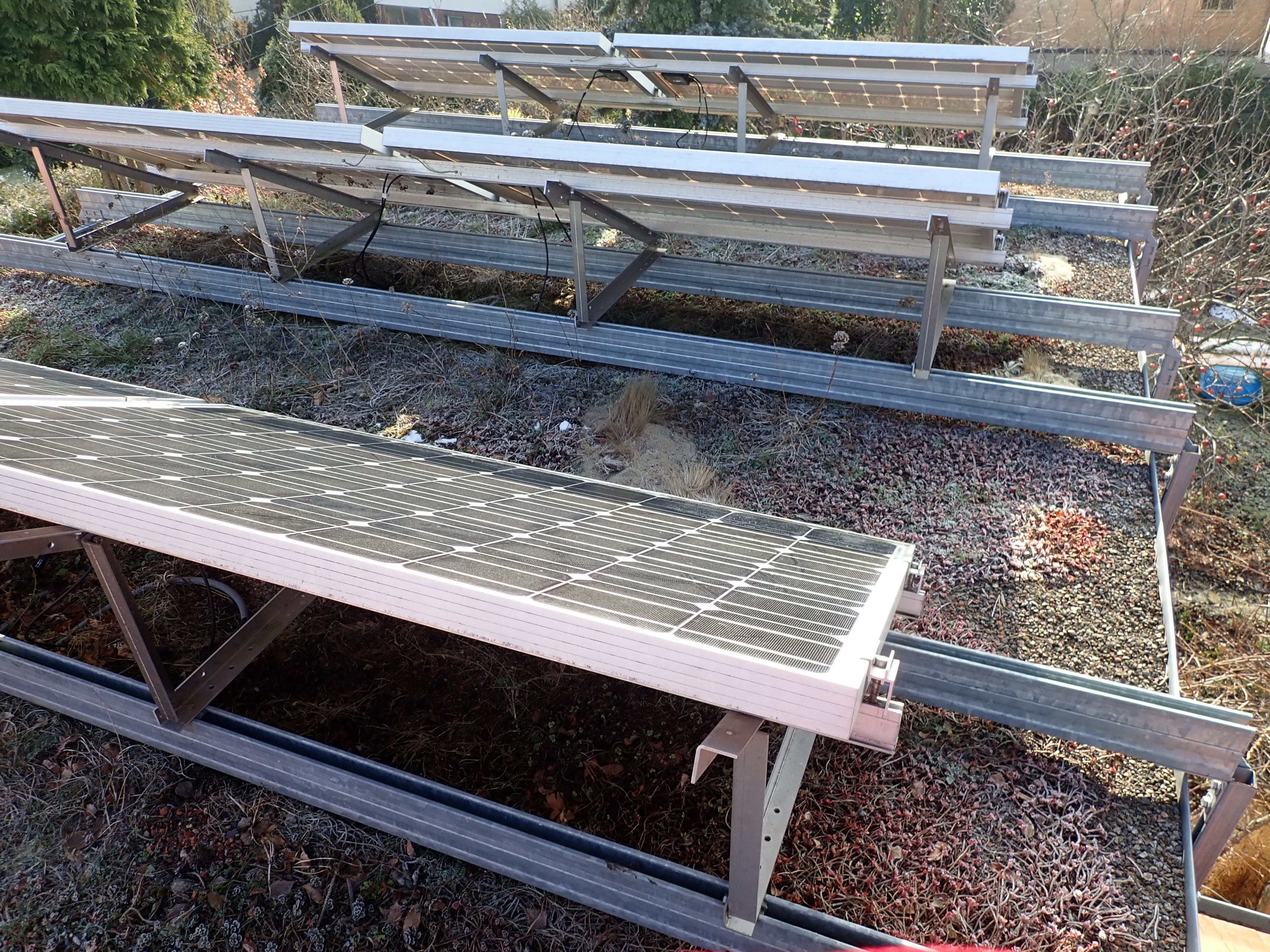 PV Modul und Begrünung