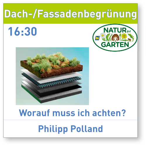 Dachbegruenung